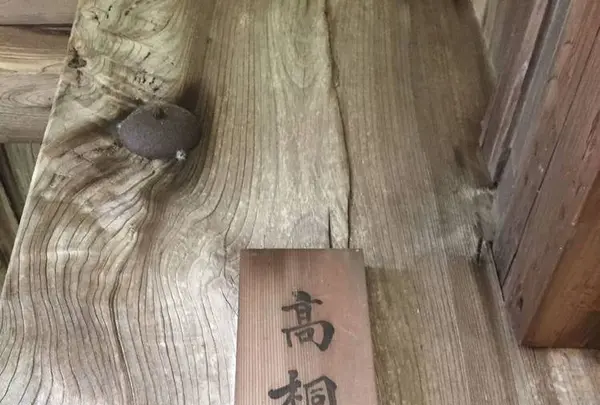 高桐院の写真・動画_image_239315