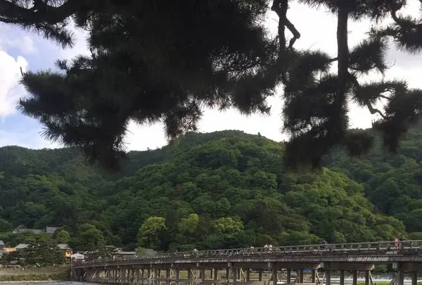 渡月橋の写真・動画_image_239337