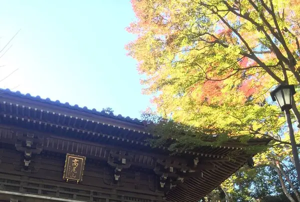 高尾山薬王院（有喜寺）の写真・動画_image_239343