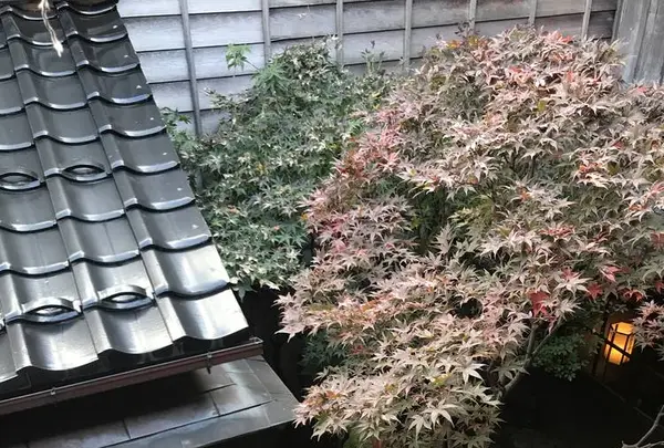 志摩(重要文化財)の写真・動画_image_239353