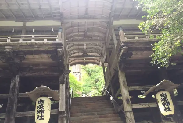 由岐神社の写真・動画_image_239354