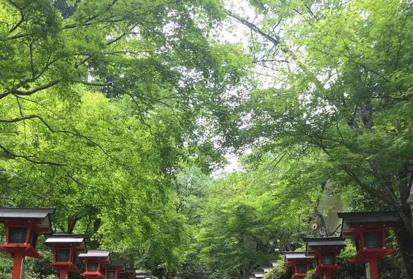 鞍馬寺の写真・動画_image_239358
