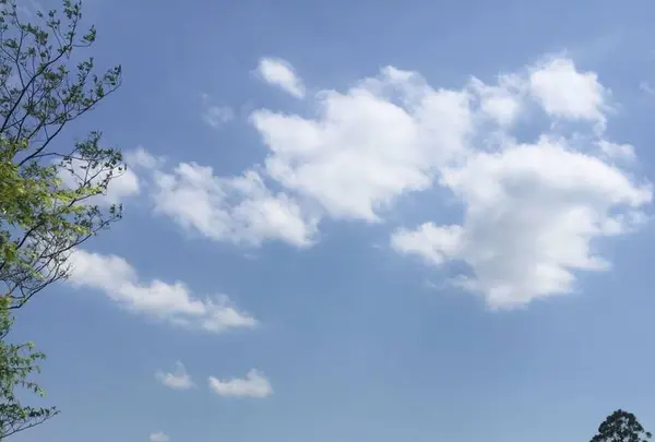 鞍馬山の写真・動画_image_239359