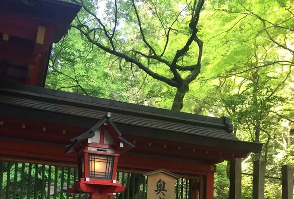 貴船神社 奥宮の写真・動画_image_239365