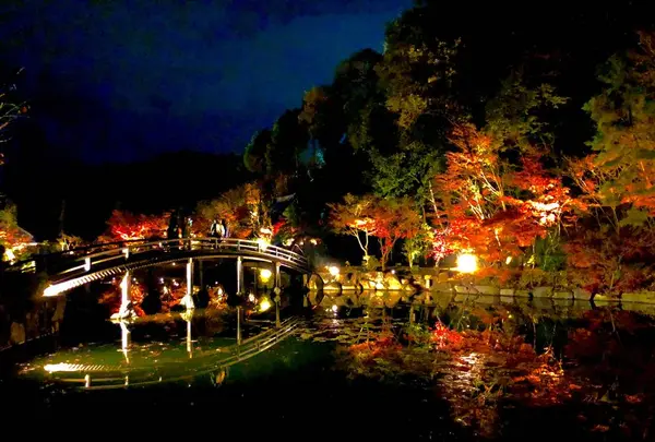 神勝禅寺 紅葉ライトアップ特別拝観の写真・動画_image_239585