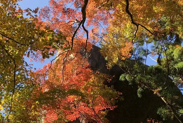 笠置寺の写真・動画_image_239650
