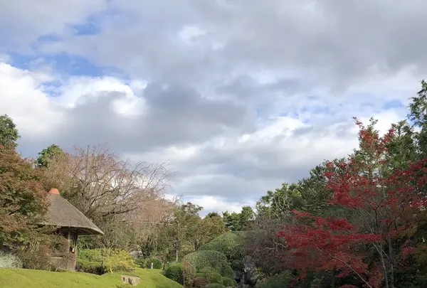 妙心寺の写真・動画_image_239662