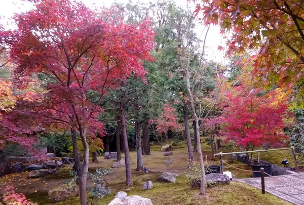 勝林寺の写真・動画_image_239800