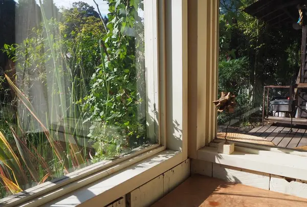 喫茶ミンカの写真・動画_image_239845