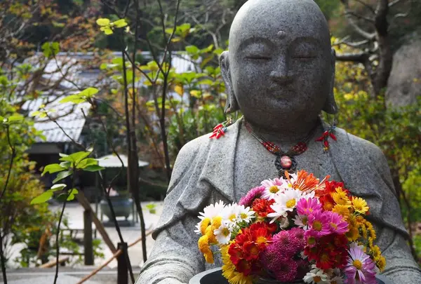 明月院（あじさい寺）の写真・動画_image_239851
