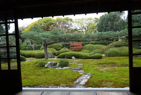 一華院の写真・動画_image_239857