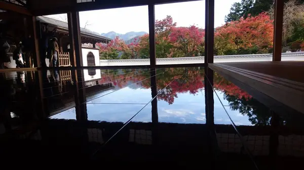 宝徳寺の写真・動画_image_239873