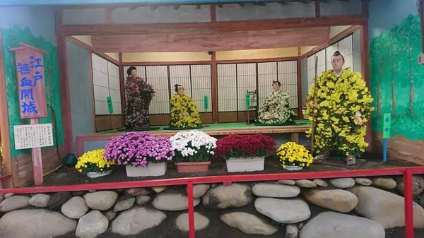 ながめ公園の写真・動画_image_239879