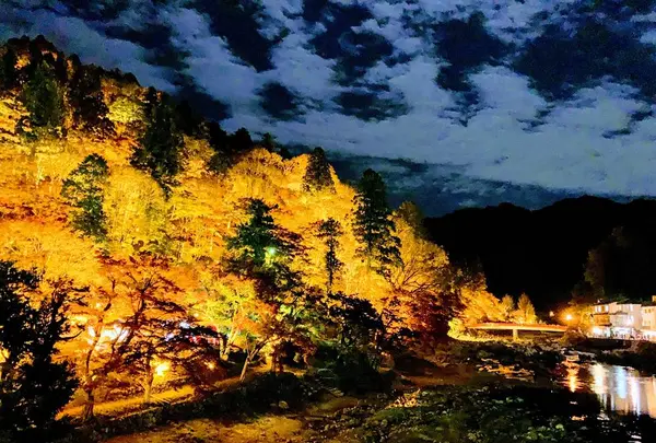 香嵐渓の写真・動画_image_240017