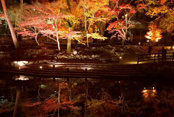 岩屋堂公園の写真・動画_image_240022