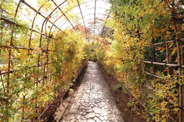 殿ヶ谷戸庭園の写真・動画_image_240026