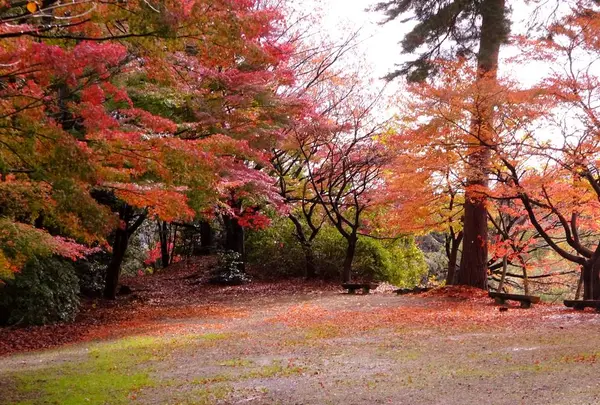 胡宮神社の写真・動画_image_240419