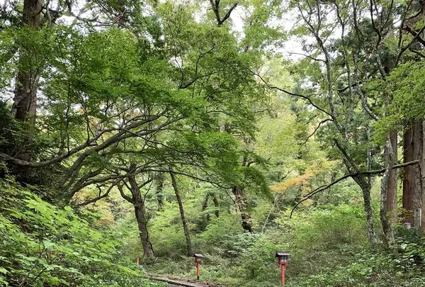 大山寺の写真・動画_image_240466