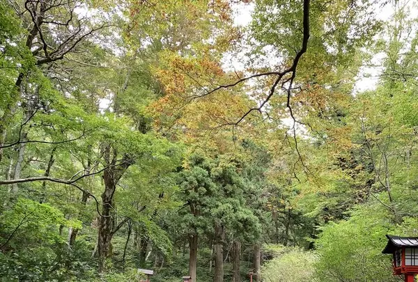 大山寺の写真・動画_image_240468