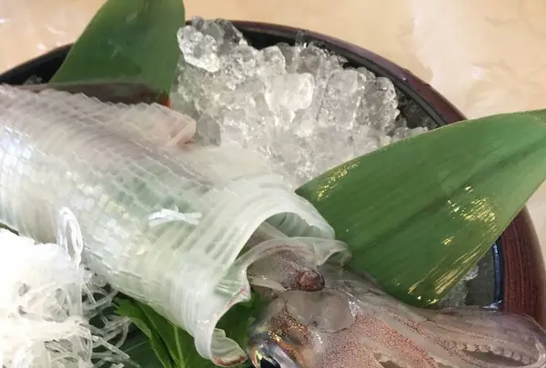 海陽亭の写真・動画_image_240476