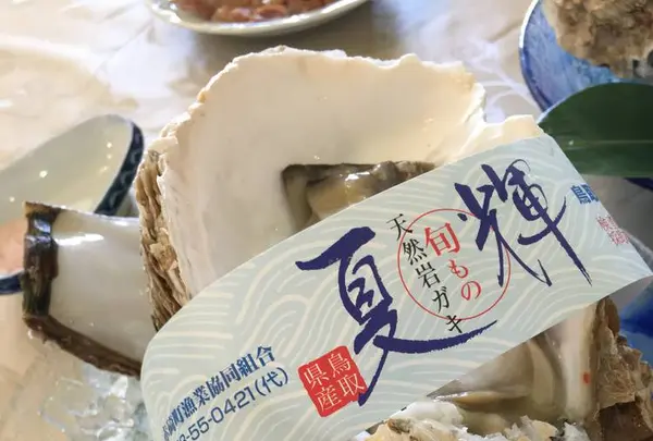 海陽亭の写真・動画_image_240477