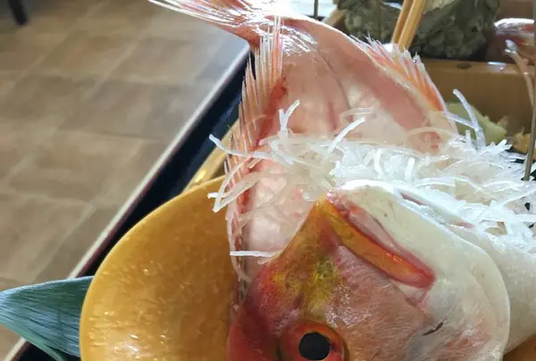 海陽亭の写真・動画_image_240478