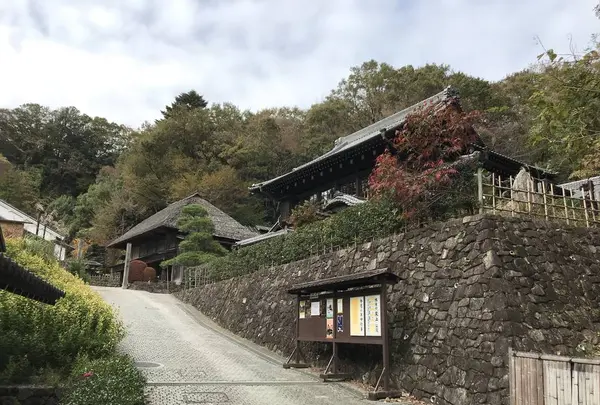 川崎市立日本民家園の写真・動画_image_240508