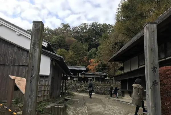 川崎市立日本民家園の写真・動画_image_240512