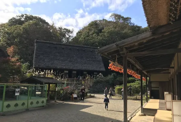 川崎市立日本民家園の写真・動画_image_240514