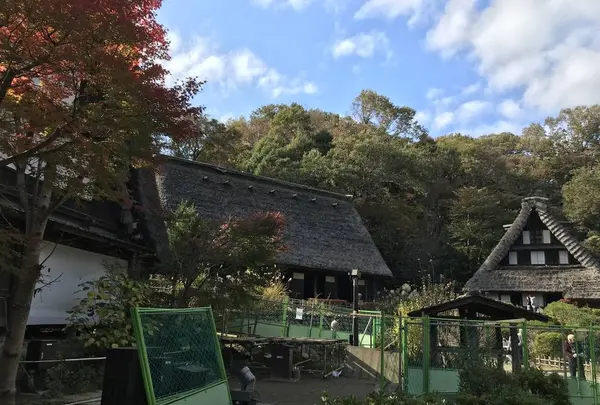 川崎市立日本民家園の写真・動画_image_240515