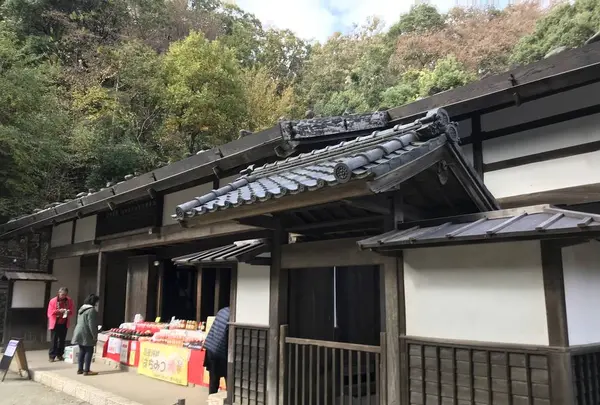 川崎市立日本民家園の写真・動画_image_240517