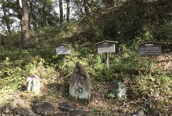 川崎市立日本民家園の写真・動画_image_240521