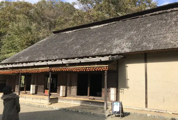 川崎市立日本民家園の写真・動画_image_240525