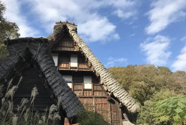 川崎市立日本民家園の写真・動画_image_240541