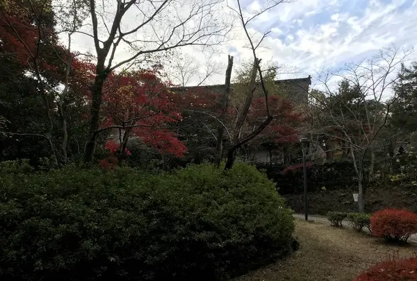 川崎市立日本民家園の写真・動画_image_240544