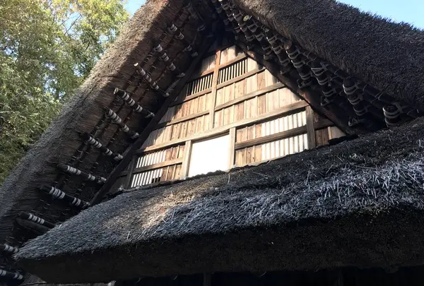 川崎市立日本民家園の写真・動画_image_240545