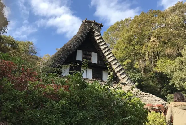 川崎市立日本民家園の写真・動画_image_240547