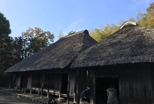 川崎市立日本民家園の写真・動画_image_240550