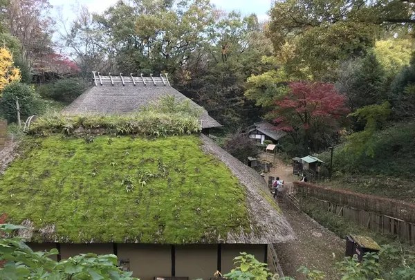 川崎市立日本民家園の写真・動画_image_240551