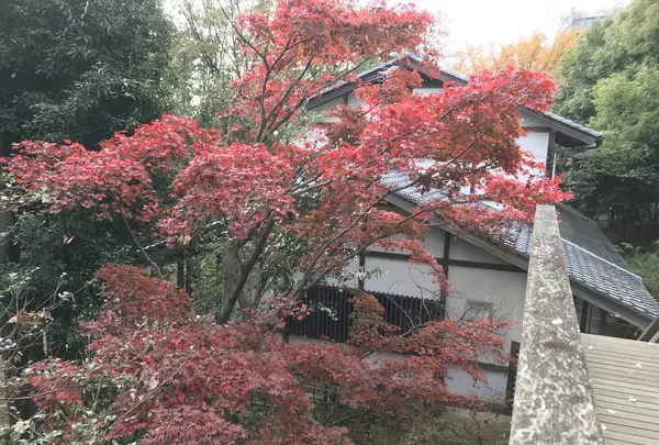 川崎市立日本民家園の写真・動画_image_240553