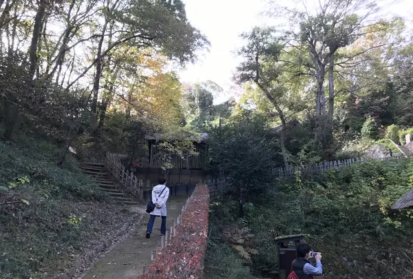 川崎市立日本民家園の写真・動画_image_240555