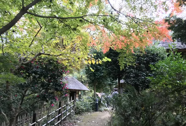 川崎市立日本民家園の写真・動画_image_240558