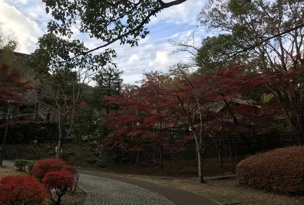 川崎市立日本民家園の写真・動画_image_240565