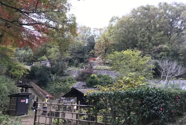川崎市立日本民家園の写真・動画_image_240566
