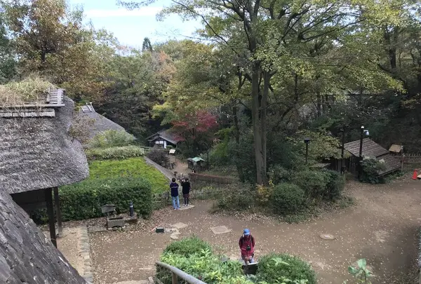 川崎市立日本民家園の写真・動画_image_240569