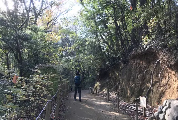 川崎市立日本民家園の写真・動画_image_240570