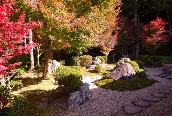 櫟野寺（いちいの観音様）の写真・動画_image_240588