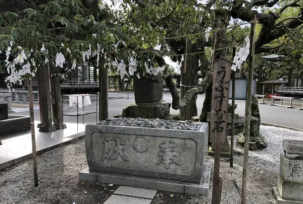 宮地嶽神社の写真・動画_image_240633