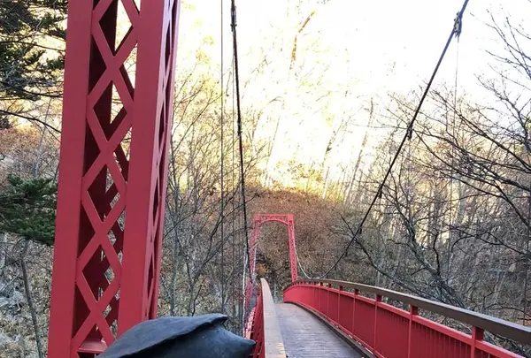 二見吊橋の写真・動画_image_240656