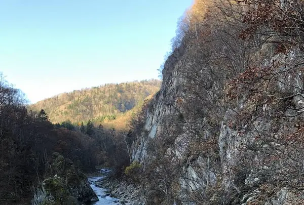 二見吊橋の写真・動画_image_240657